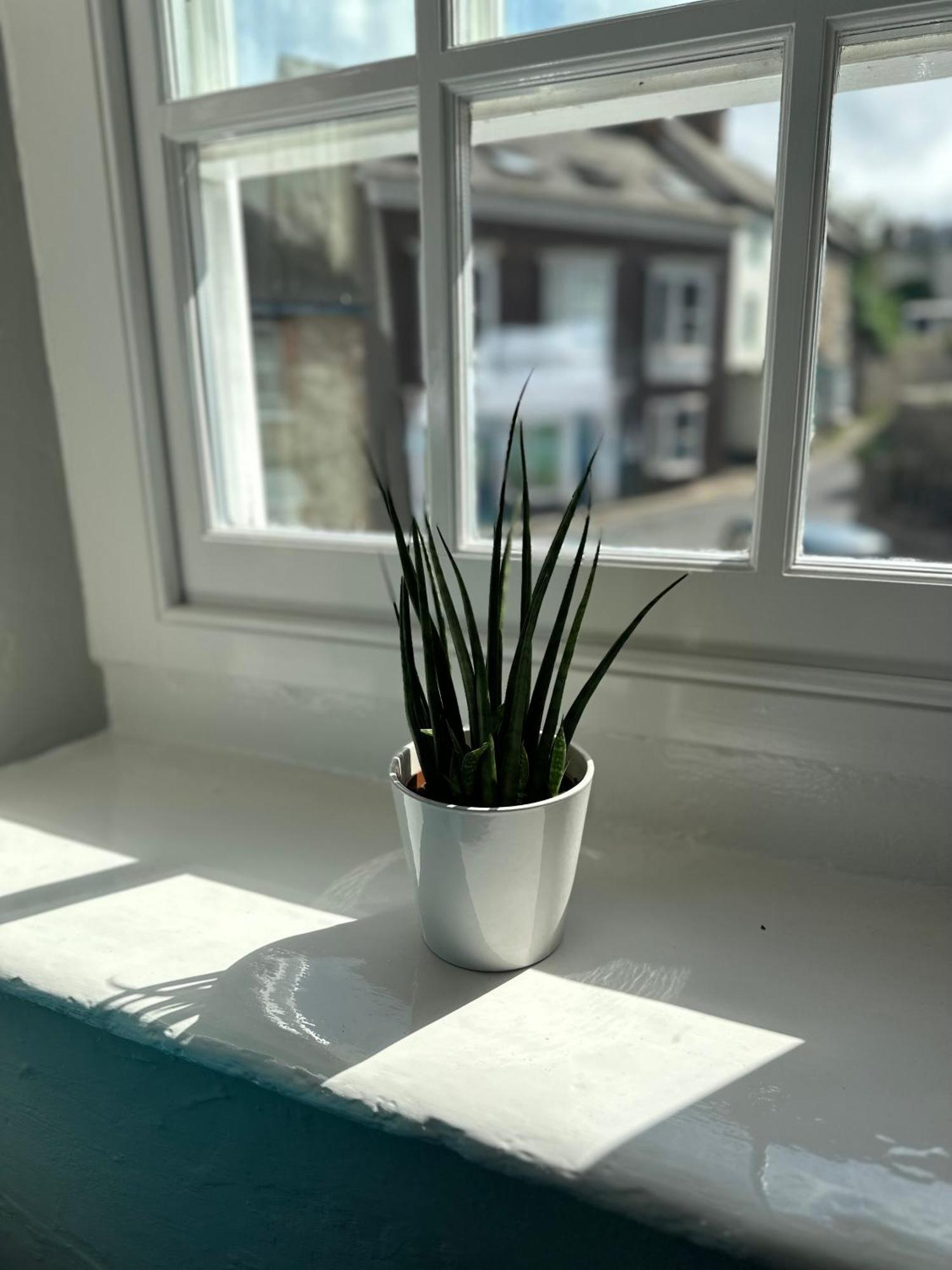 Colyton The Old Bakehouse B&B 외부 사진